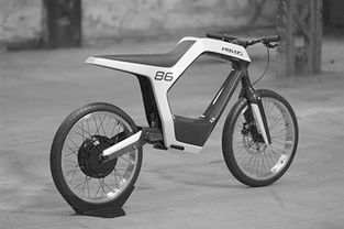 这货不是自行车,也不是摩托车 中工国际