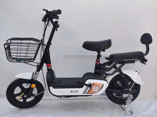 电动自行车 电轻摩 电摩有什么区别 该如何选择