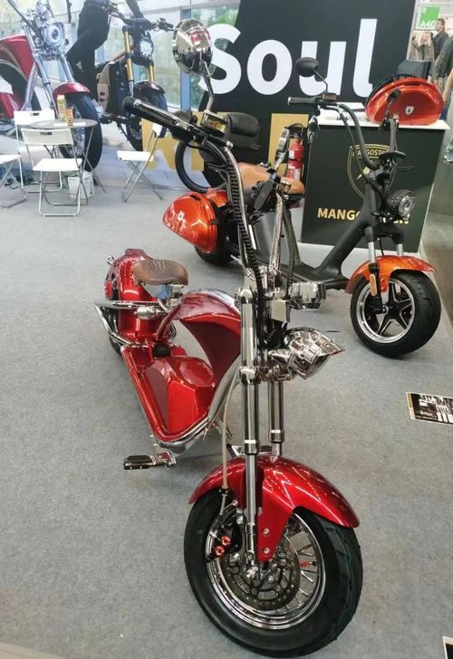 盘点那些墙内开花墙外香的两轮电动车品牌