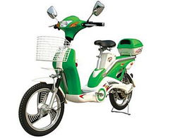 电动自行车下乡 专家分析河南市场优势