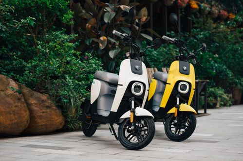 电动自行车的价格瓶颈 为什么3000元以下畅销，5000元以上难卖？