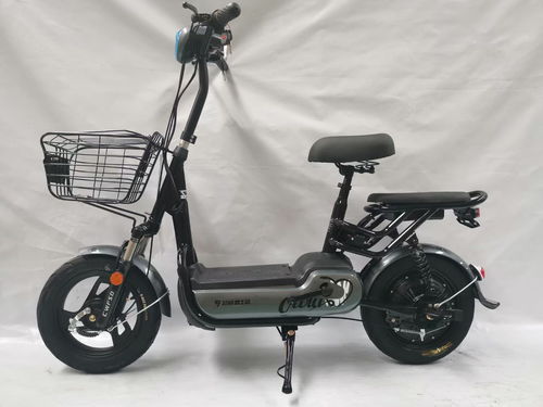 艺扬电动车 深入解析挑选电动自行车的五大关键要点