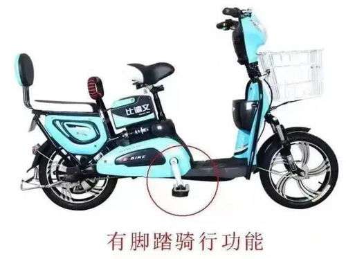 0000000陵水首辆登记上牌电动自行车出炉 电动自行车管理迈入规范化时代