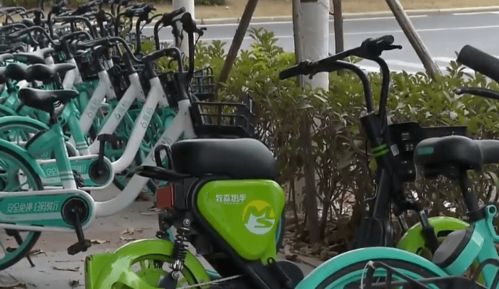 厦门环岛路共享电动自行车违规上路，骑行者面临300元罚款